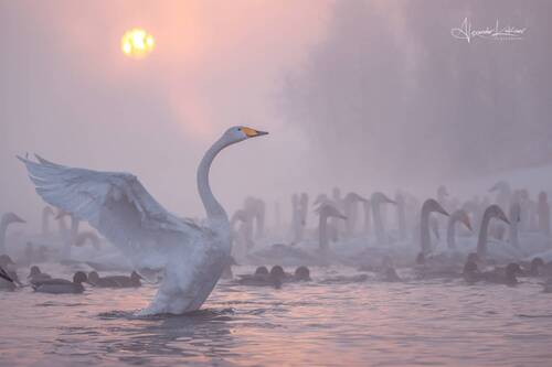 Алтайское утро...