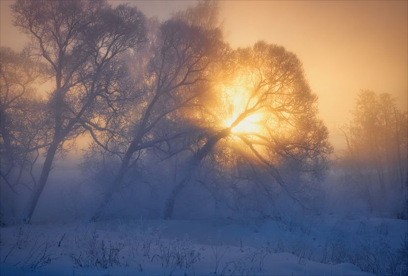 В очередь за светом фото превью