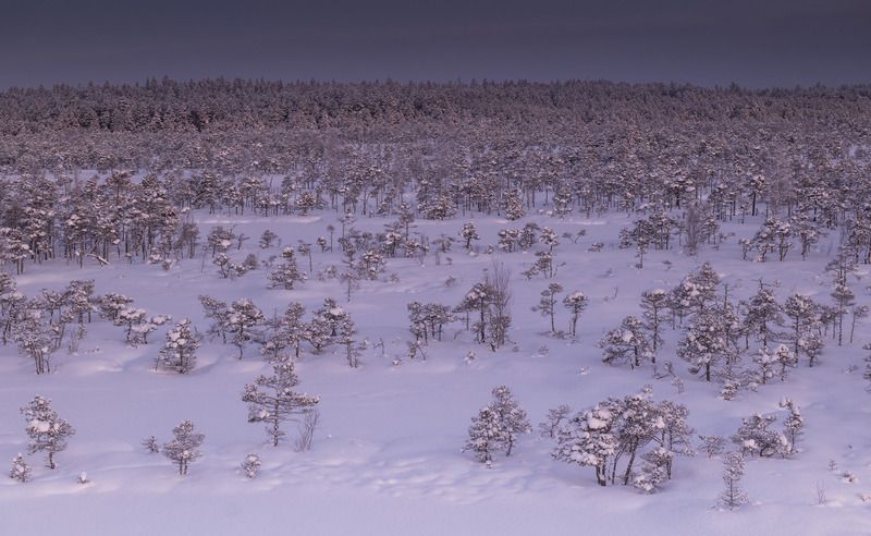 Зимнее утро фото превью