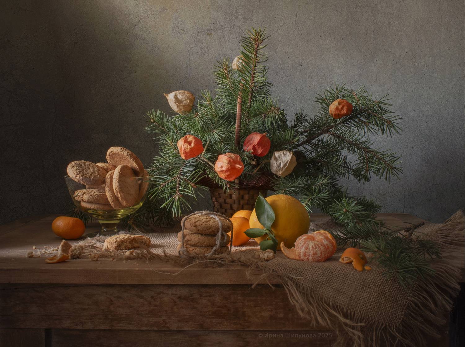 , Шипунова Ирина