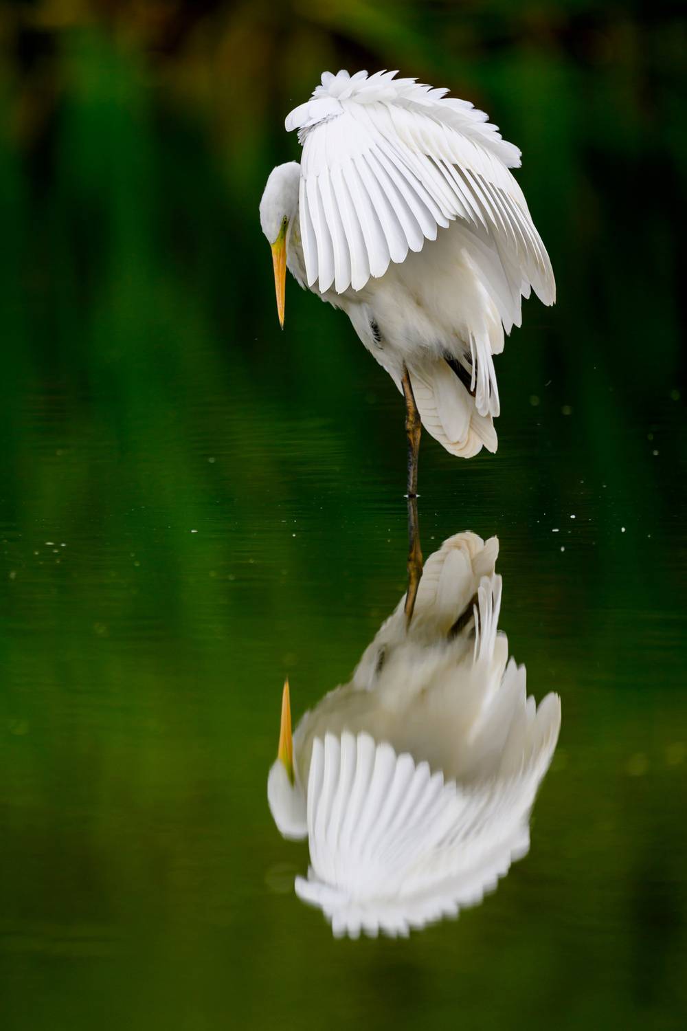 , Пупонин Сергей