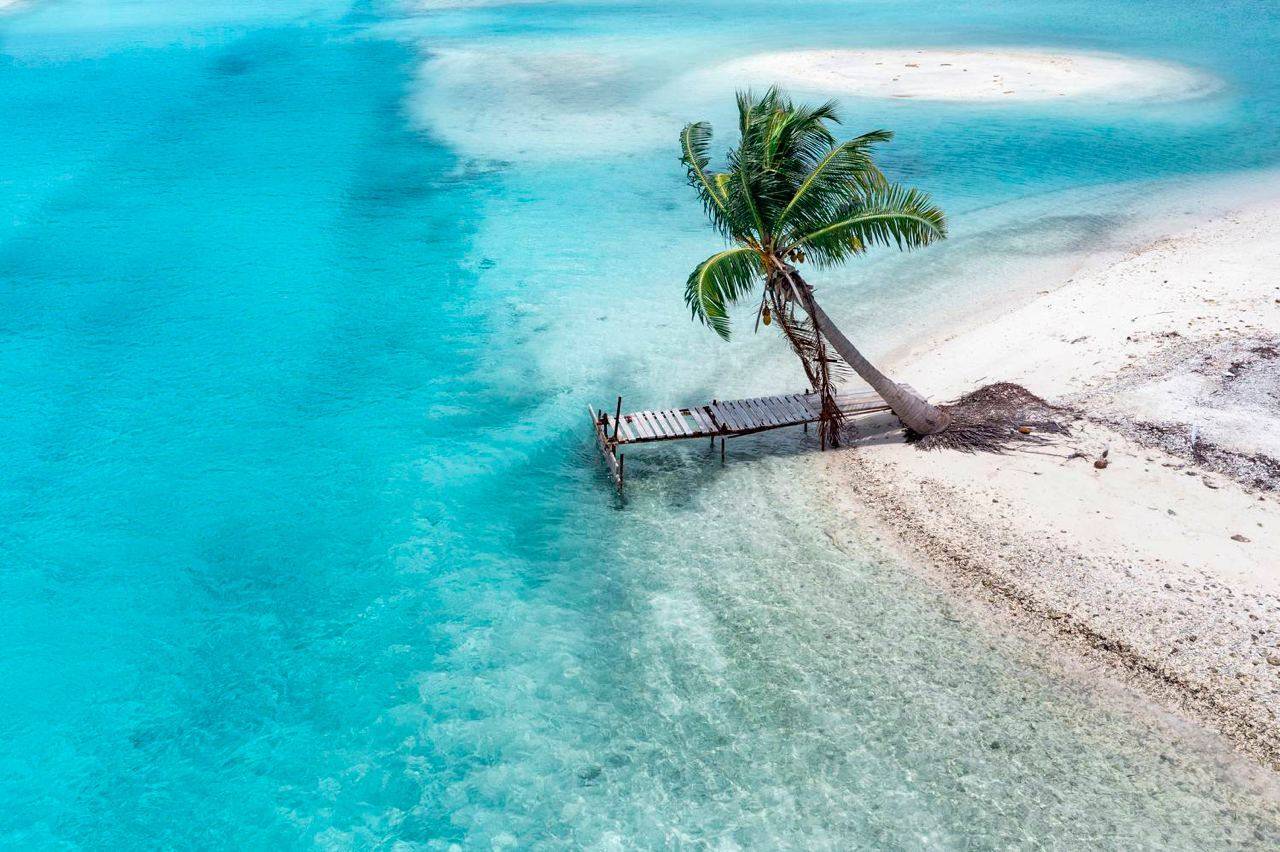 , Vladimir Ostapenko