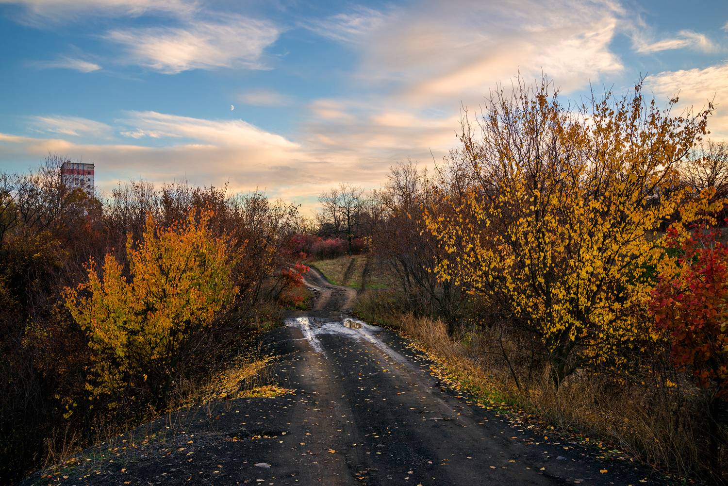 , Диденко Юрий