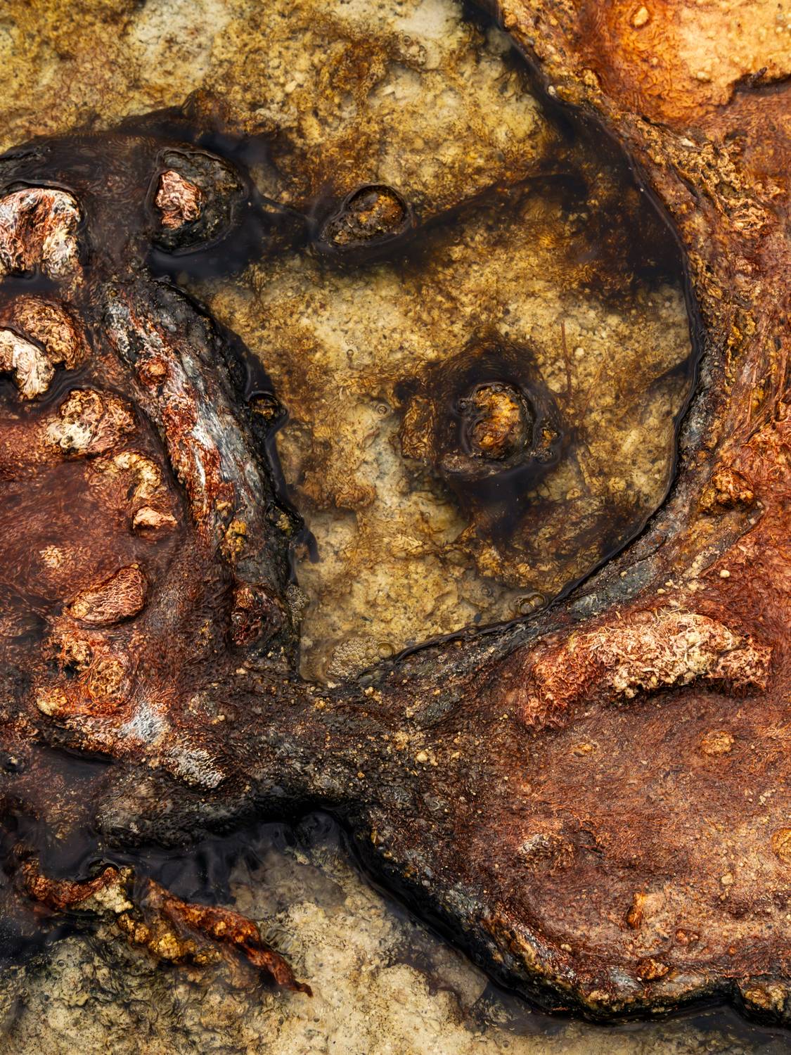 , Вукотић Никола