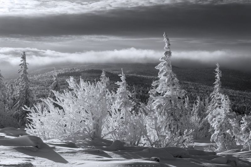*** фото превью