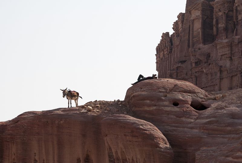 Быть или не быть ? фото превью
