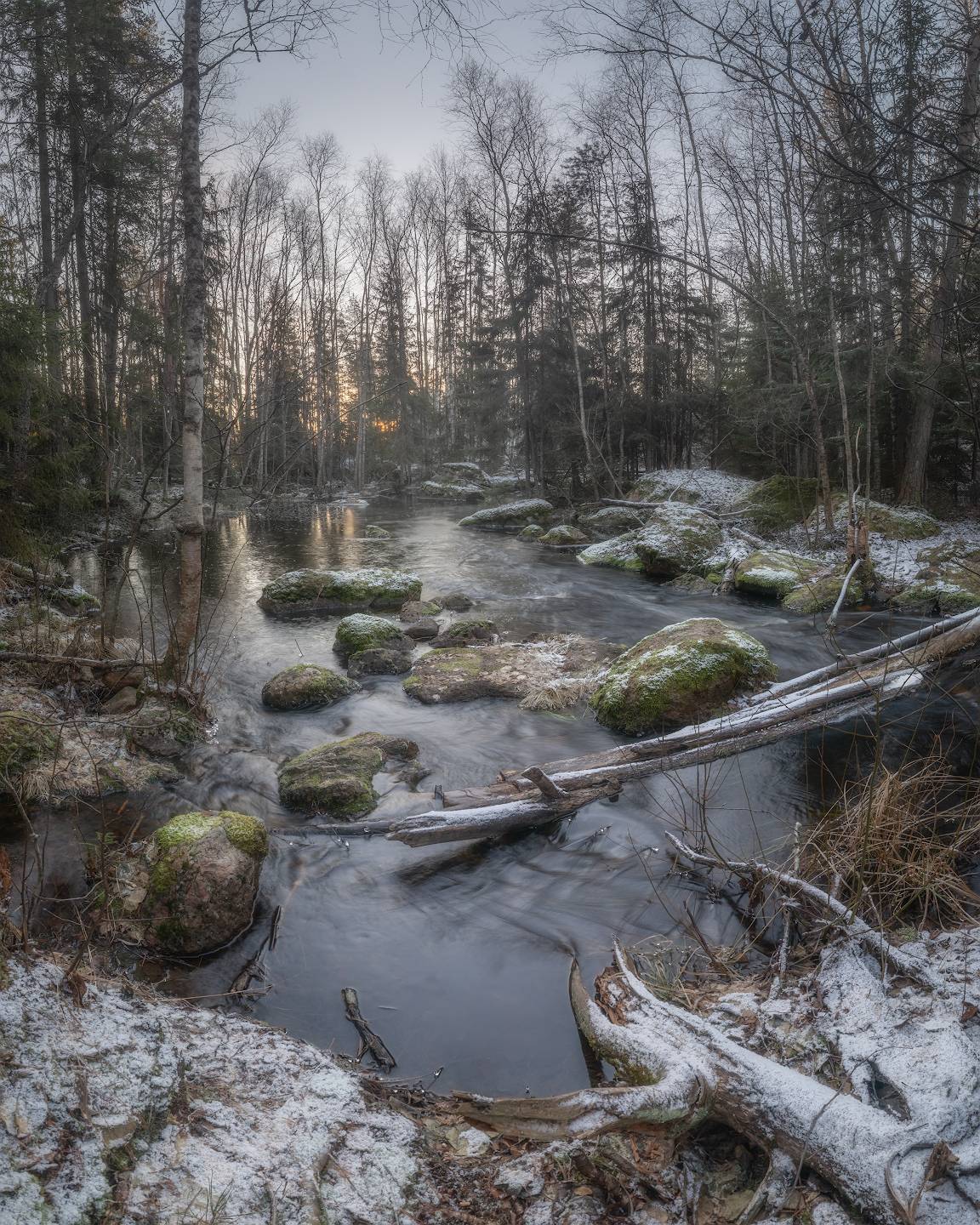 лес, ленобласть, зима, ручей, протока, Марголин Алексей