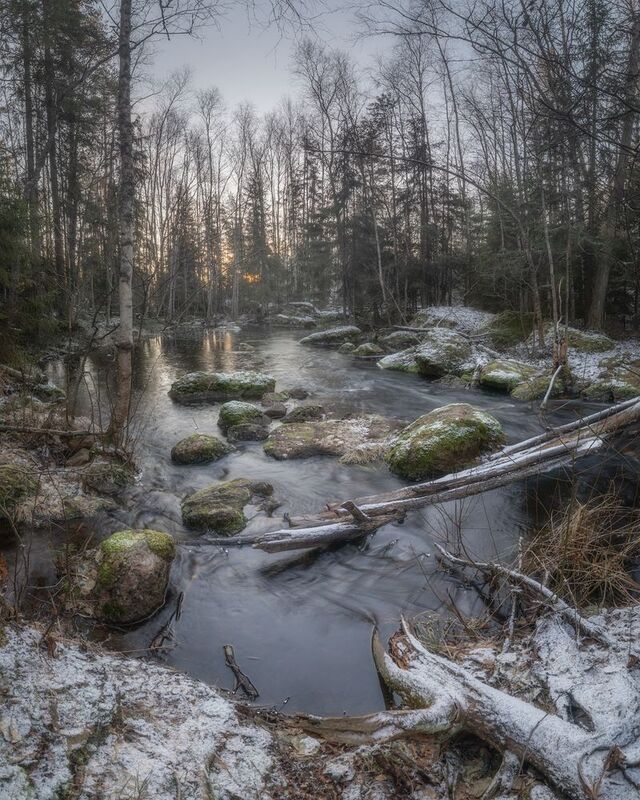 лес, ленобласть, зима, ручей, протока *** фото превью