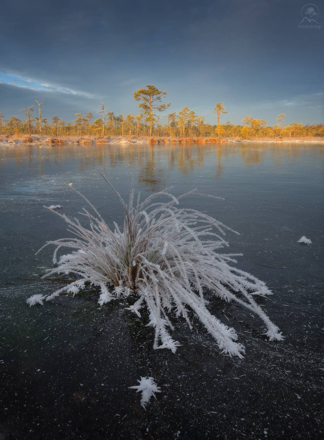 ленобласть, болото, Гордиенко Анатолий