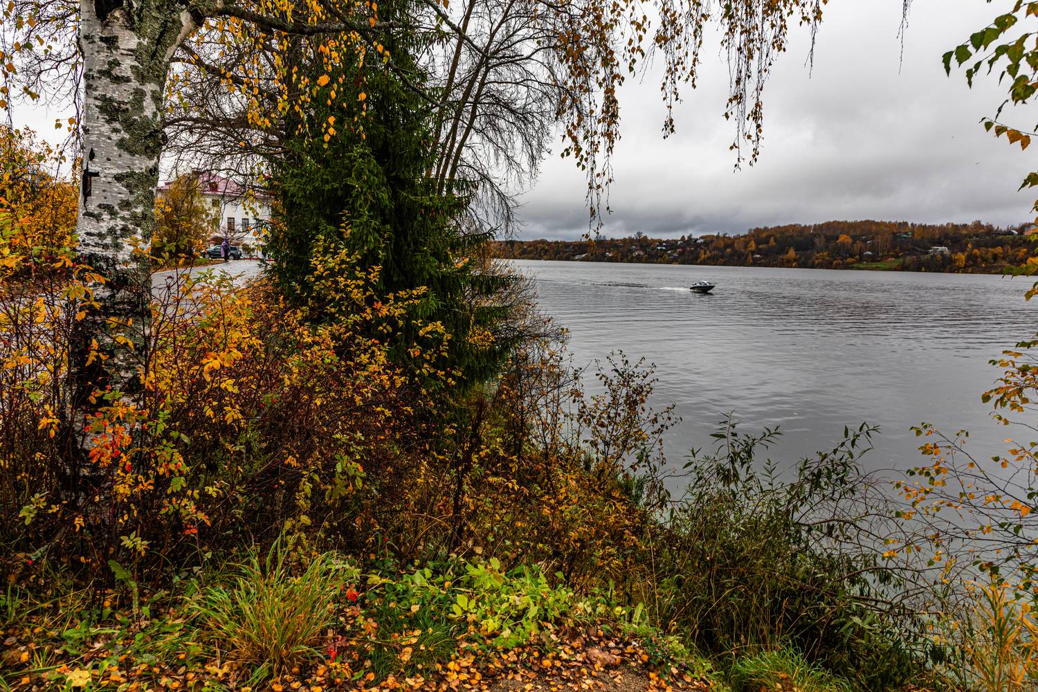 Волга, Плес, река, катер, осень, , Сергей Петров