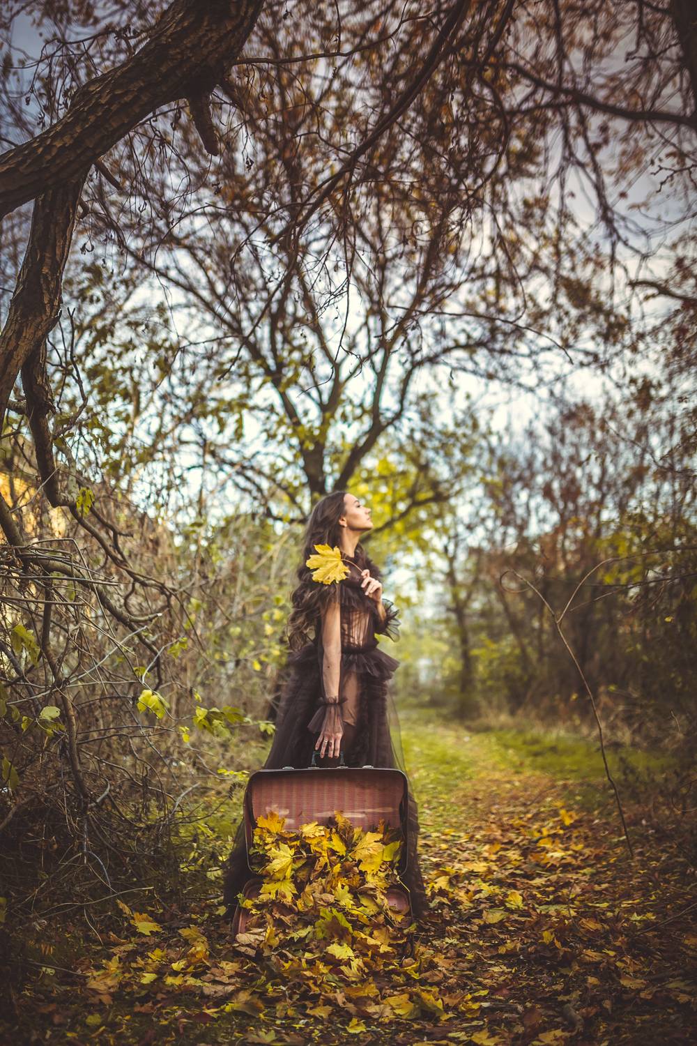 35mm, 4x5, 6x6, 6х6, 85mm, Art, Artnude, Ballerina, Ballet, Battur, Beautiful, Beauty, Canon, Canon 5D Mark III, Car, Color, Dance, Dress, Emotion, Eyes, Face, Flowers, Ganzo, Genre, GirlHair, Hero,LightLilac, Model, Mongol, Mongolia, Гергерт Вероника