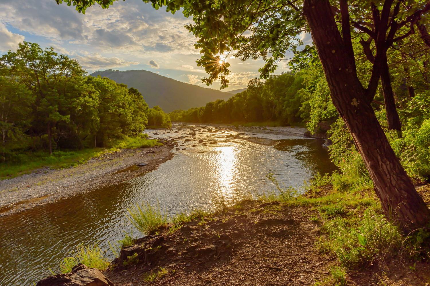 лето, закат, р.рудная,  GeorgyPrimoretz