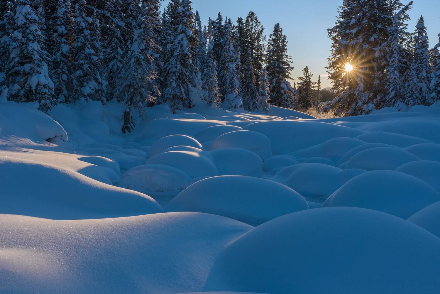 ергаки, ручей,  зима, вечер, закат, сугробы, снег, шапки, иней, светлый, горы, тени, сосны, кедры, тайга, Мальцев Юрий