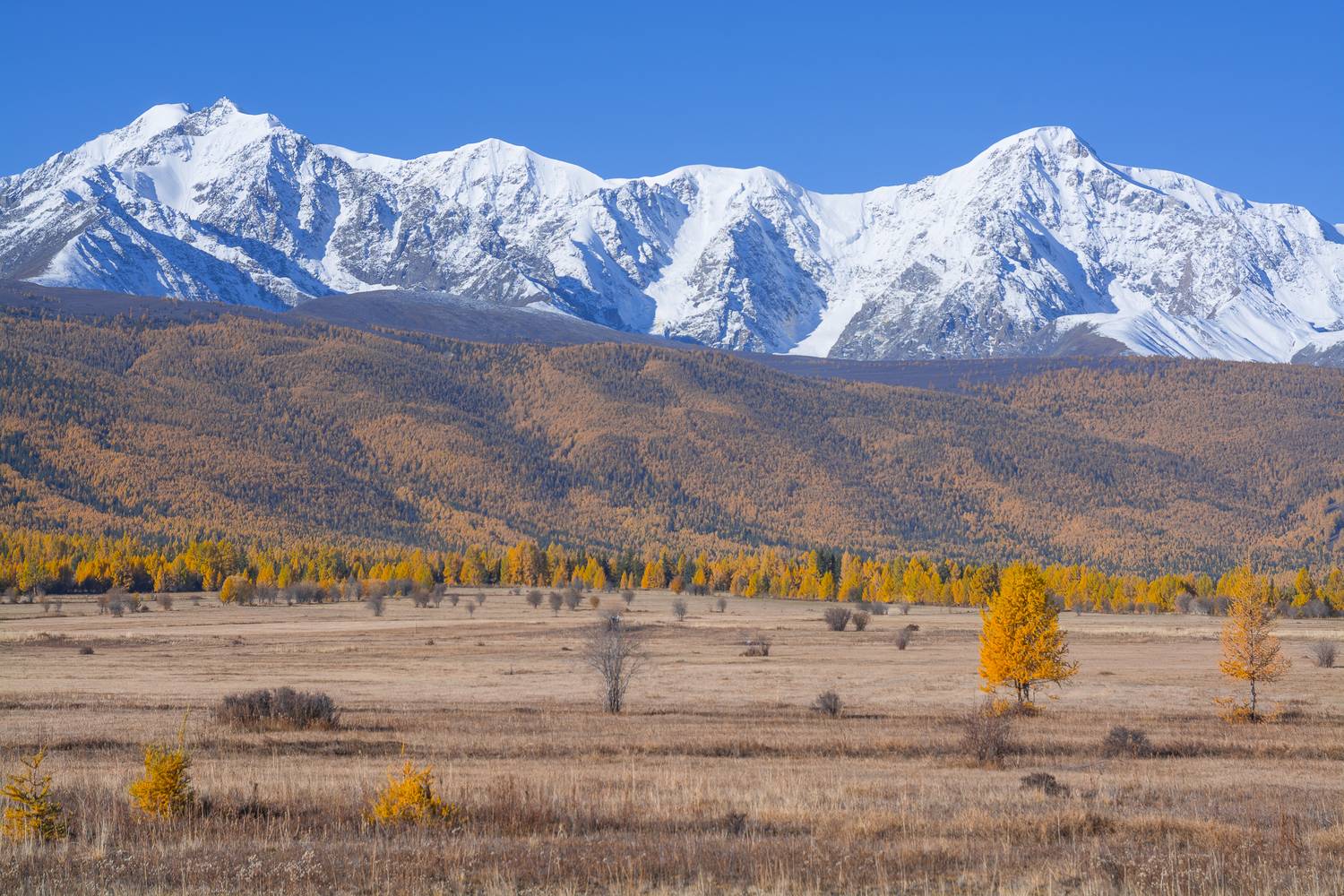 россия, горный алтай,осень, Андрей Поляков