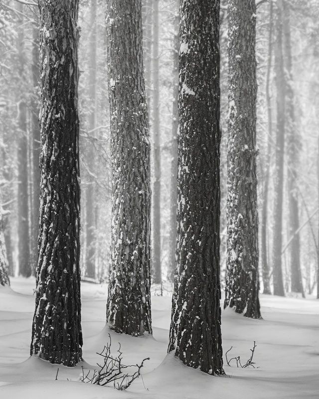 Ритм 2 фото превью