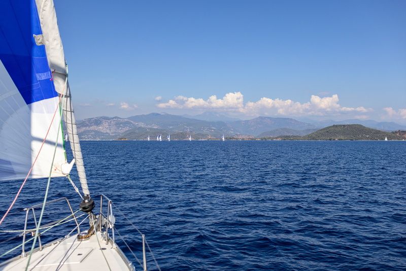 Парус Регата Регата фото превью