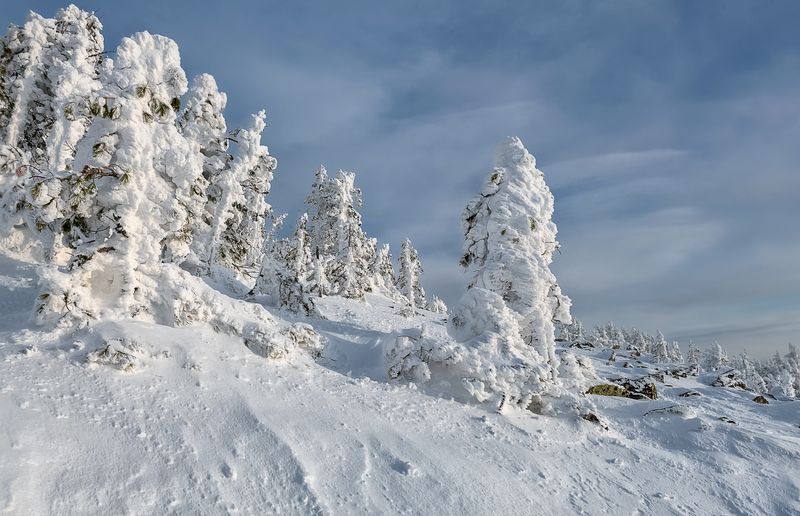 зимой, мороз, куржак, аргыджек, сибирь, гора Солнечный Аргыджек фото превью