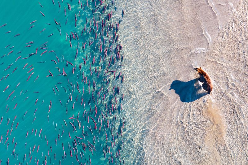 камчатка КАМЧАТКА фото превью