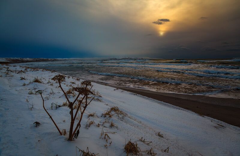 тихий океан, бухта, берег, командоры Декабрь фото превью