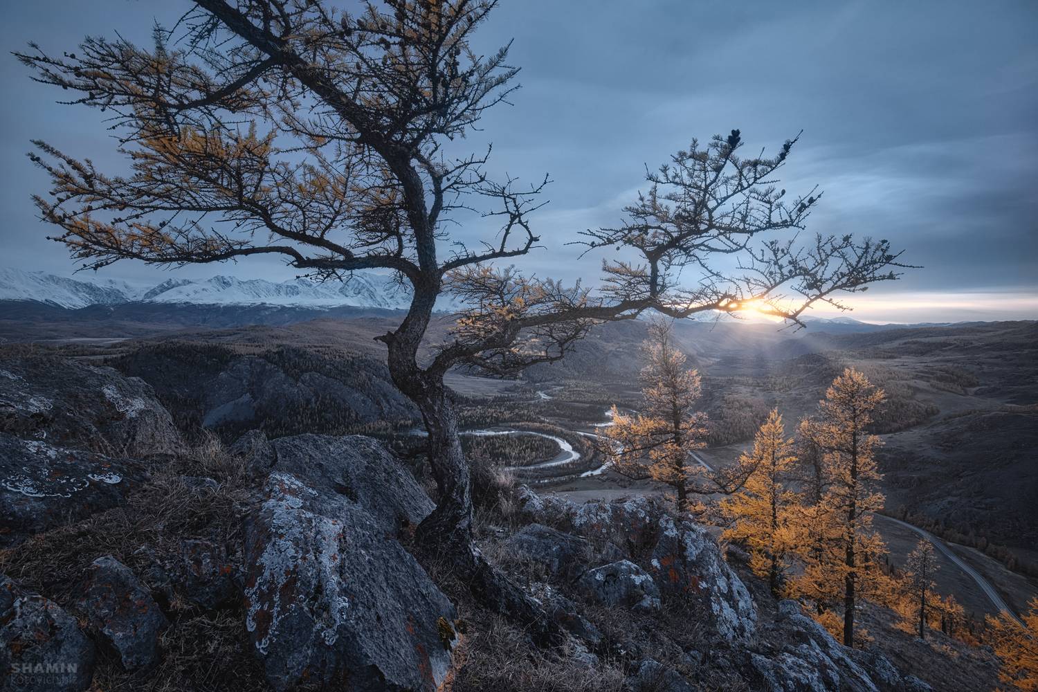 , Константин Шамин