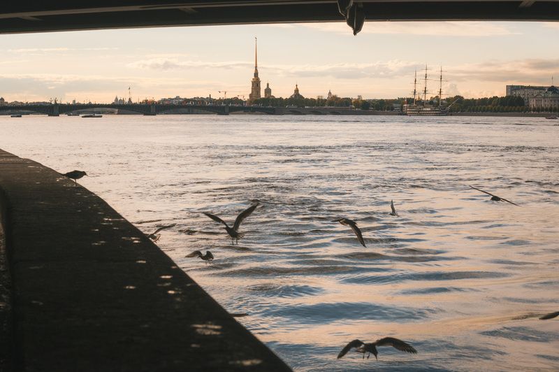 spb, embankment, street, bridge, old, birds, neva, leningrad, Under the bridge. фото превью