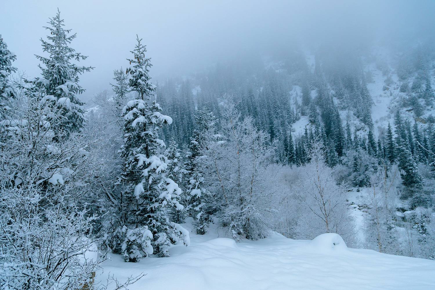 кыргызстан, ала-арча, Элина Магалимова