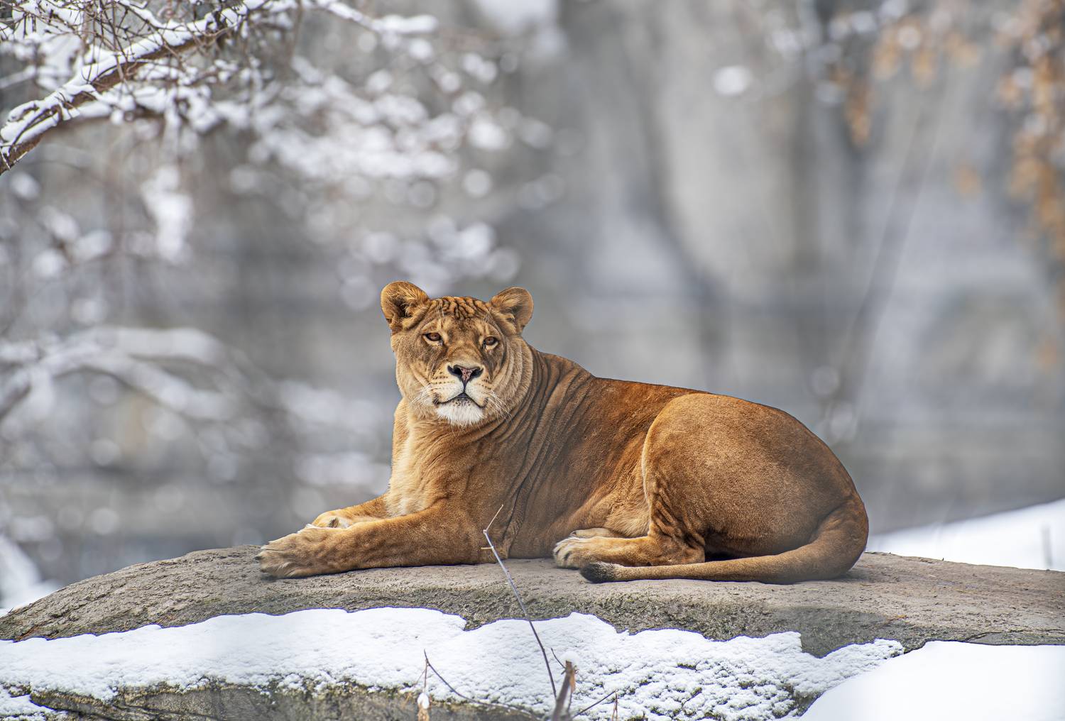 , Михаил Измайлов