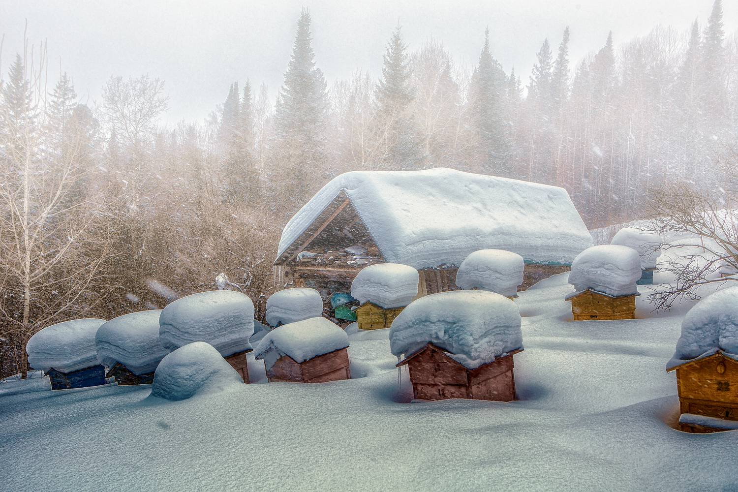 , Холудеев Виктор