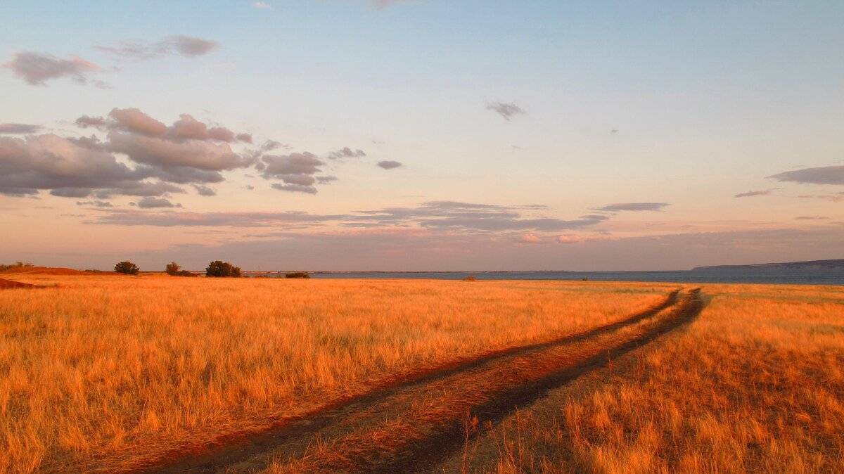 , Егорова Наталья