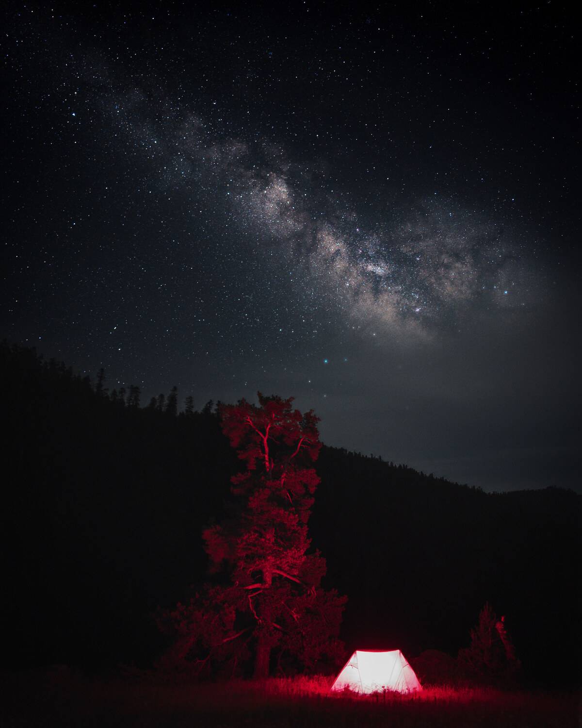 , Купчиков Илья