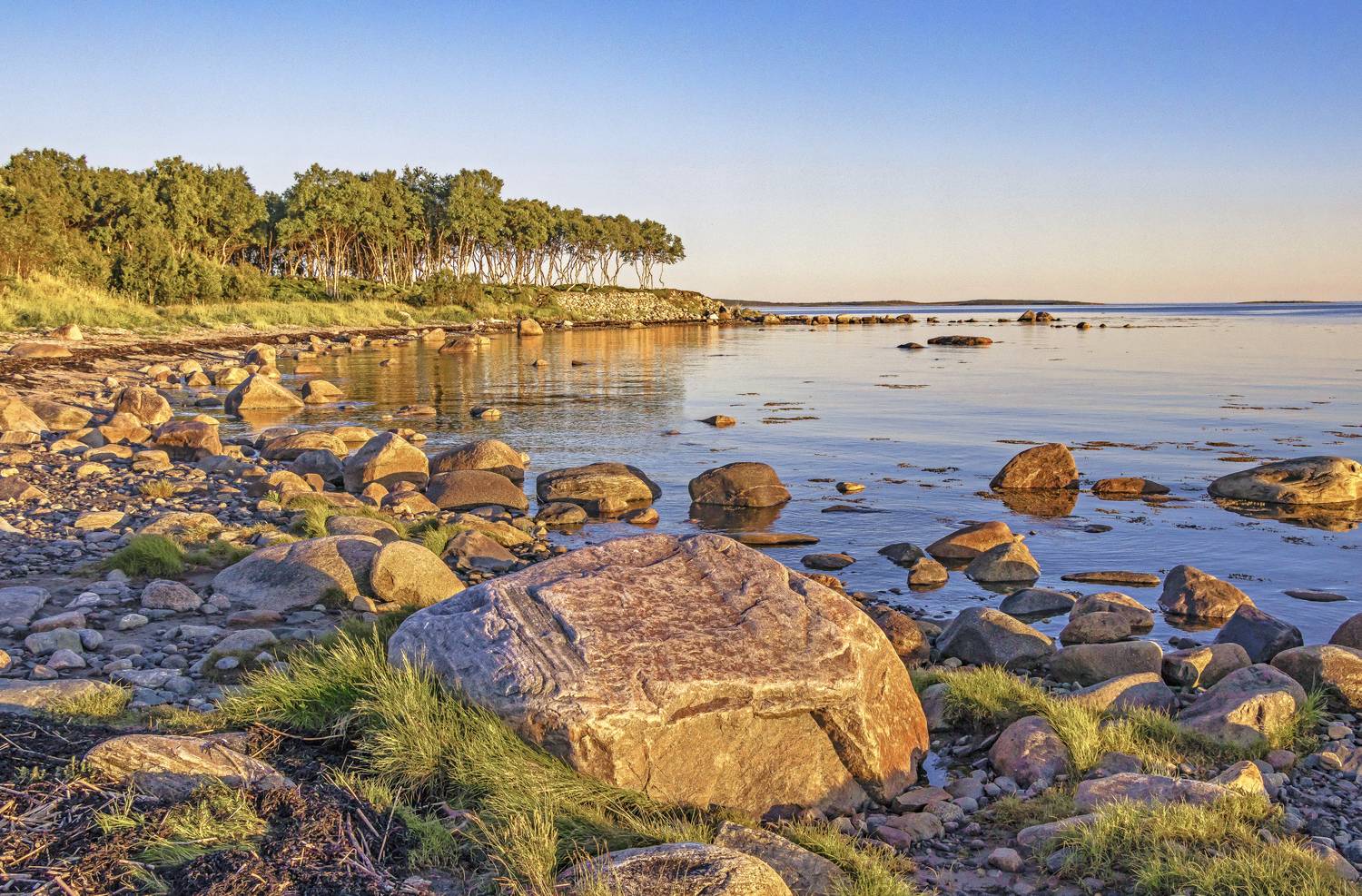 Соловки, Белое море, галина новинская