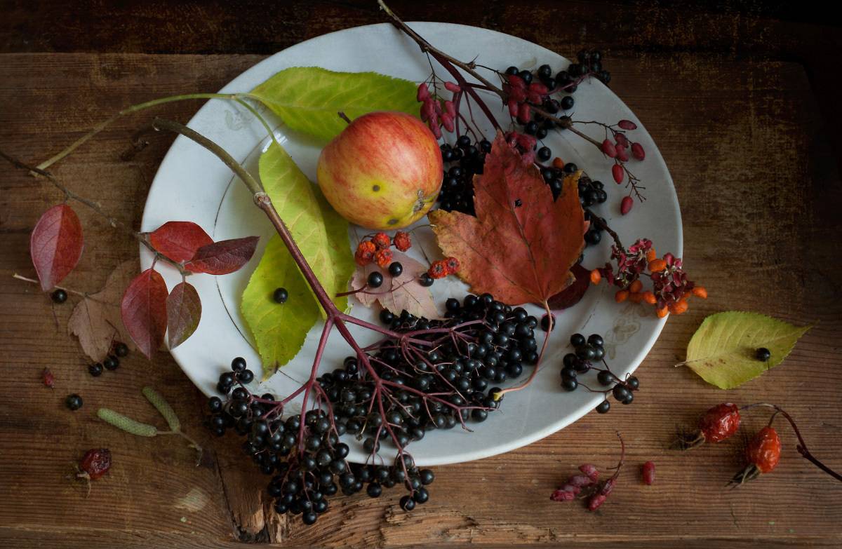 осень, листья, ягоды, Колеснева Елена