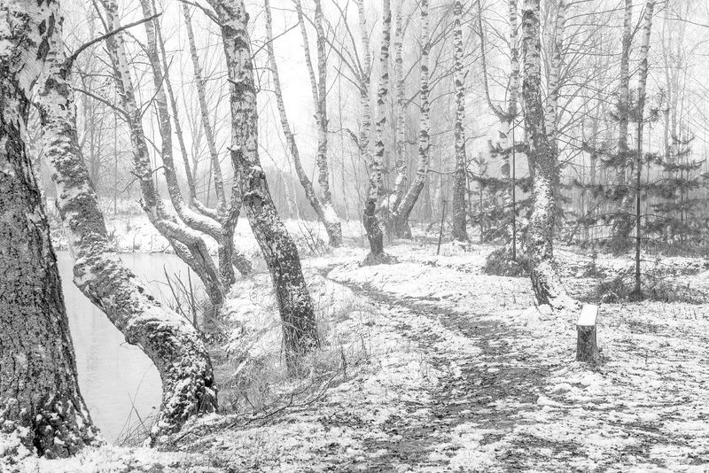 Белый танец. фото превью