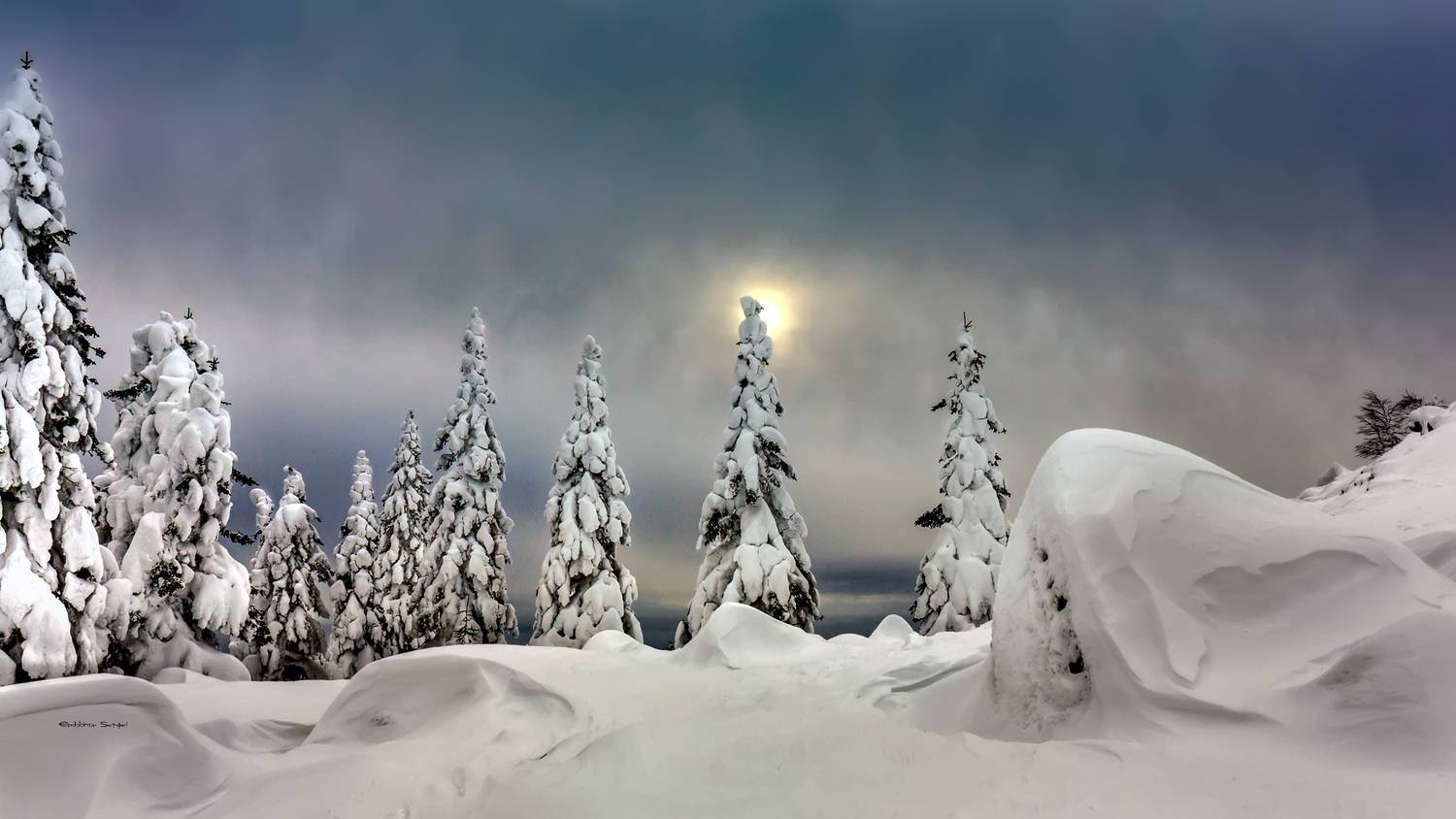 , Евдокимов Сергей