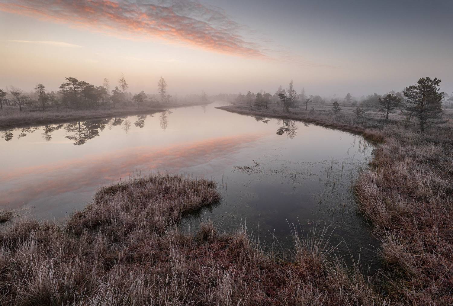 , Гордон Николай