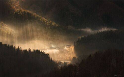 Место под солнцем.