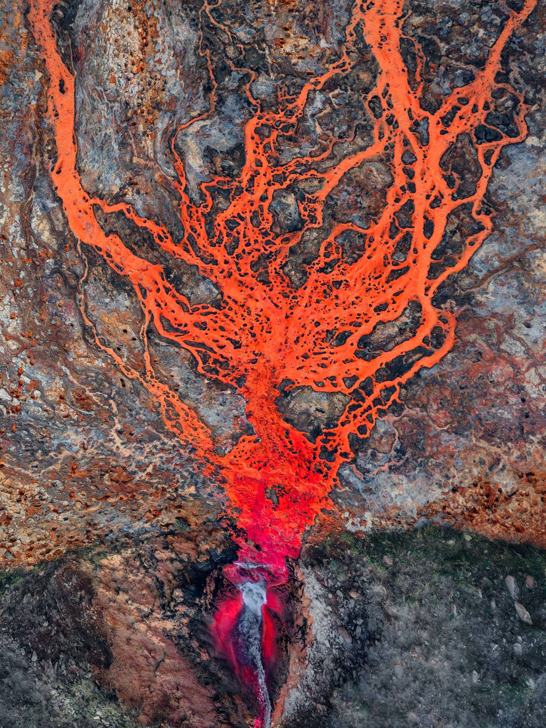 , Вукотић Никола