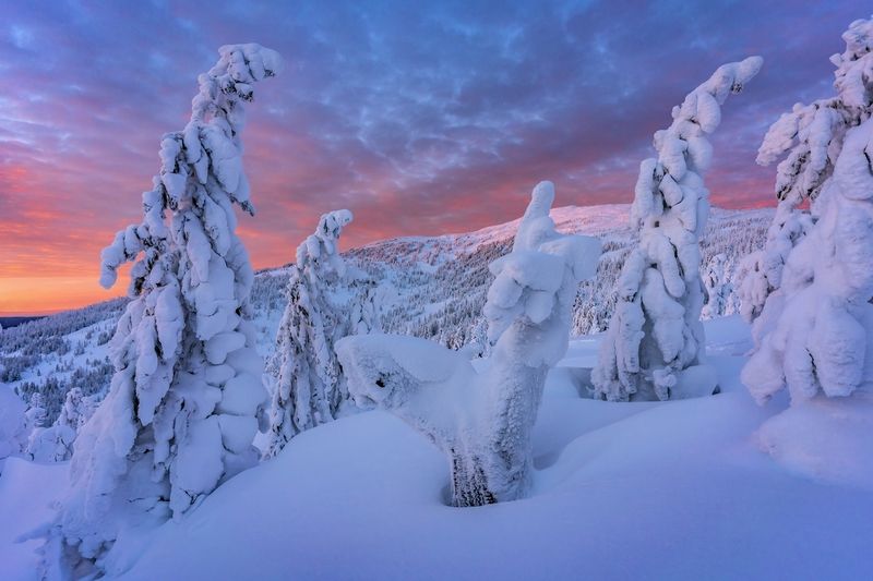 Сегодняшний вечер на Аргыджеке фото превью