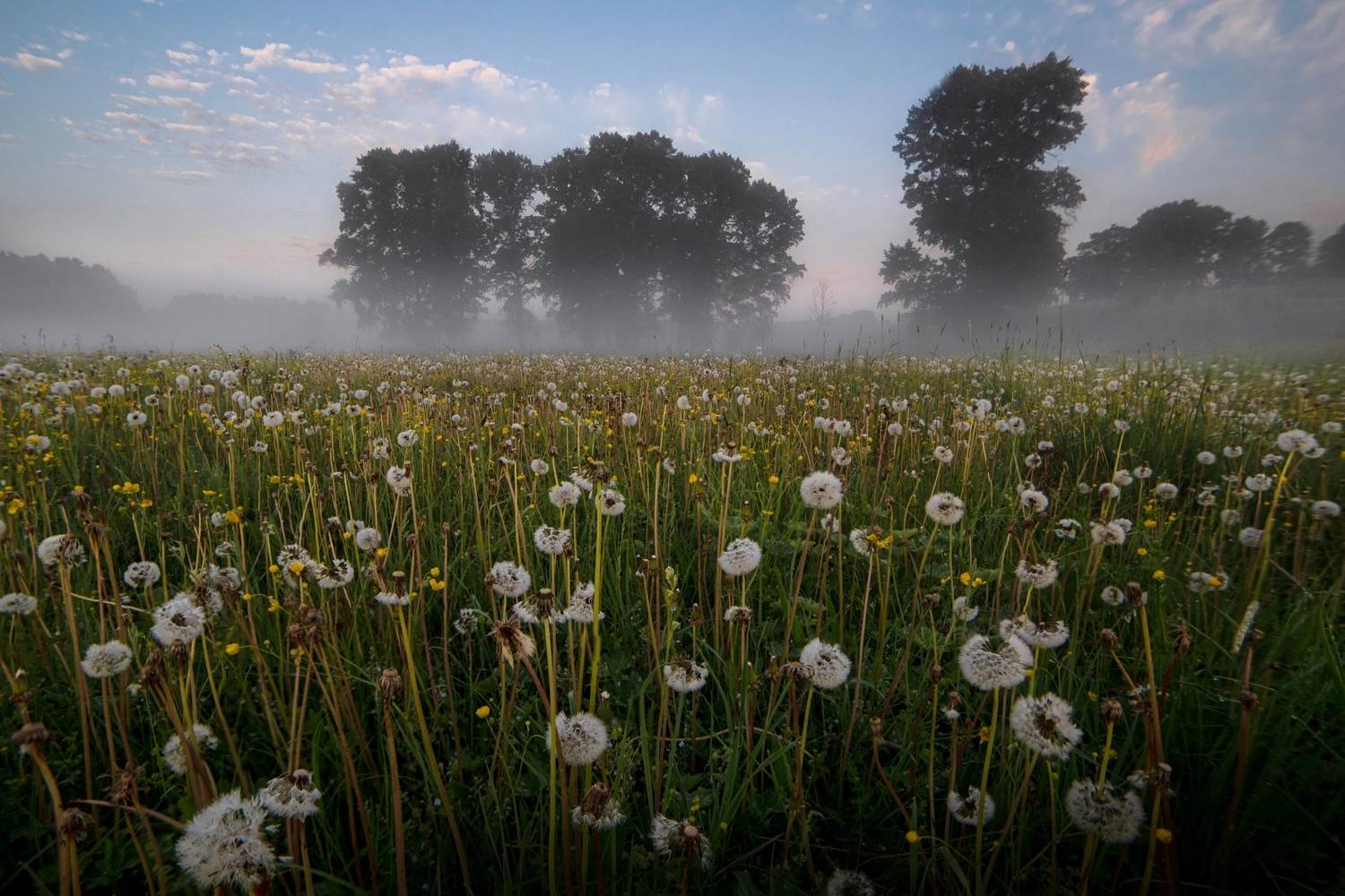 , Малыгин Андрей