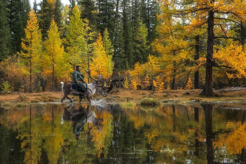 Mongolia Tsaatan фото превью