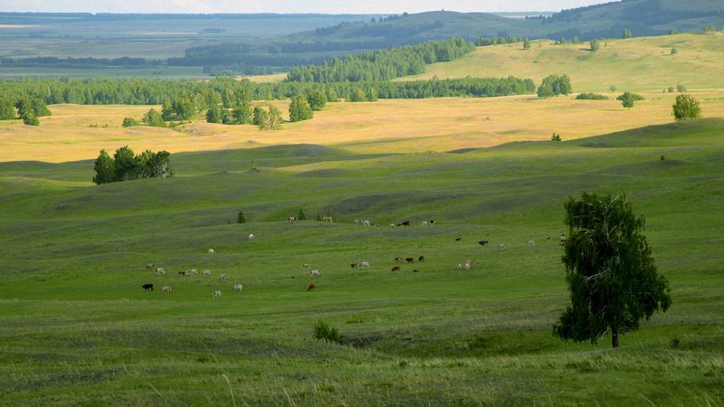 хоровод фото превью