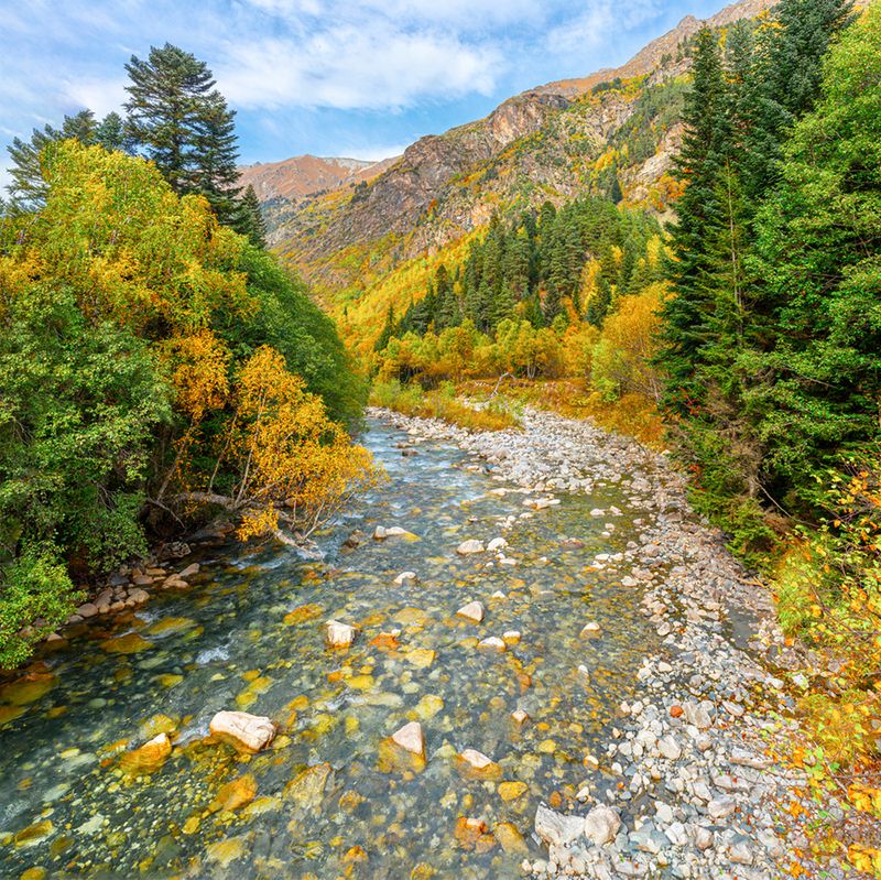 Тебердинский заповедник.Река Гоначхир. фото превью