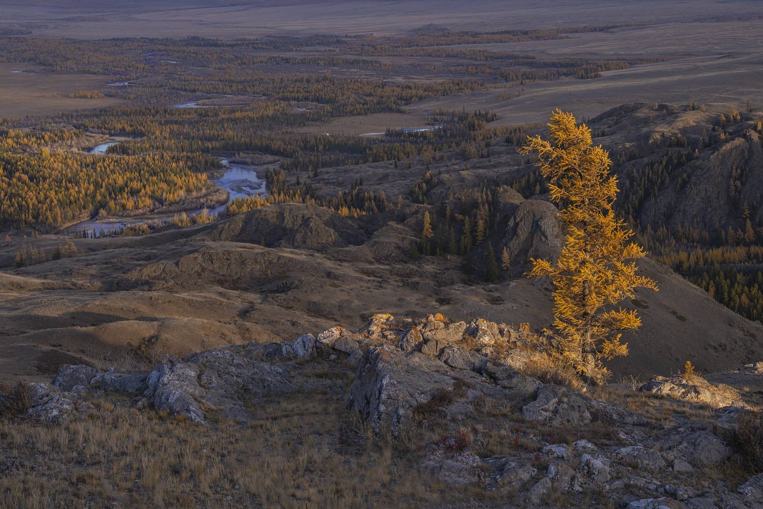 алтай, осень, горы, Дейнекина Галина