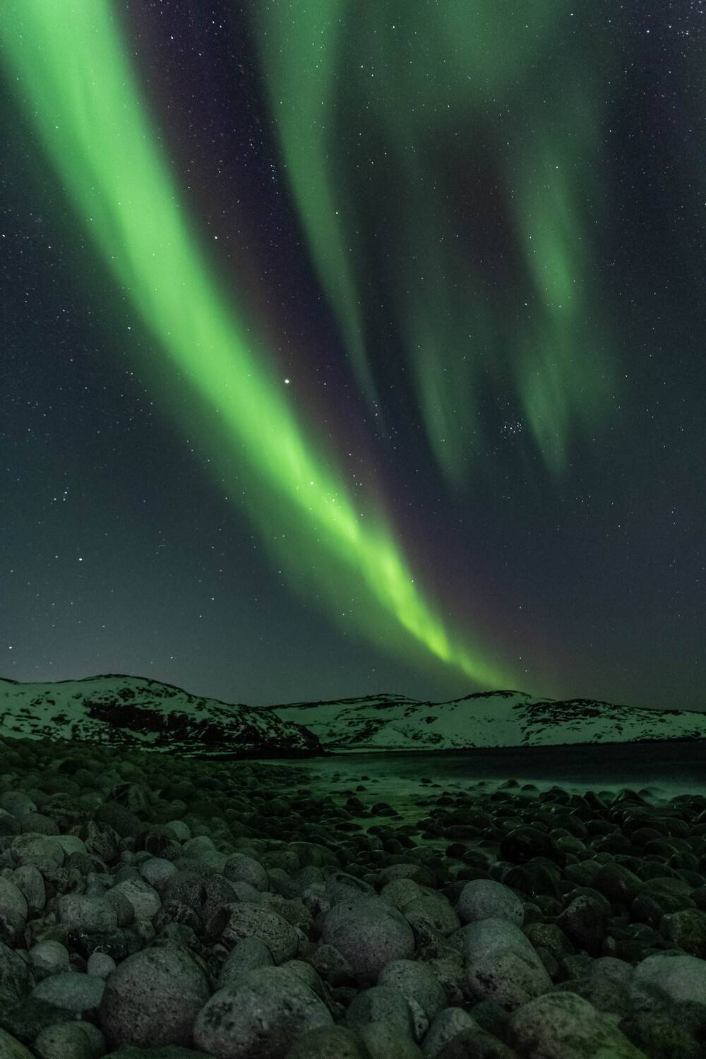 , Сергей Каверин