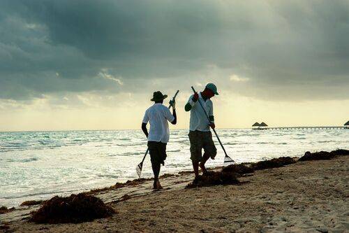 Кубинский танец с граблями