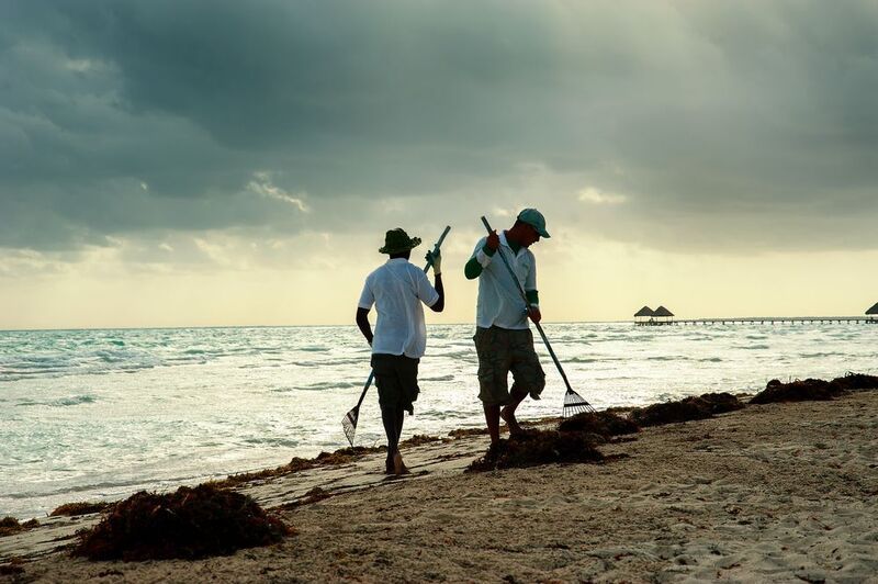 куба, кайа-кока, уборщики пляжа, грабли, рассвет, океан Кубинский танец с граблями фото превью