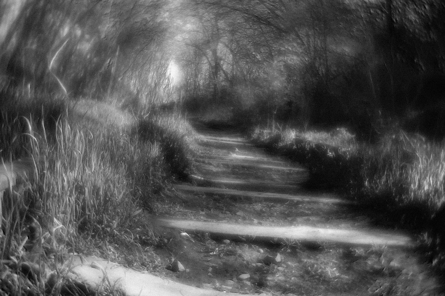 , Андрей Петросян