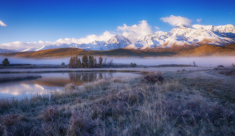 Иней фото превью