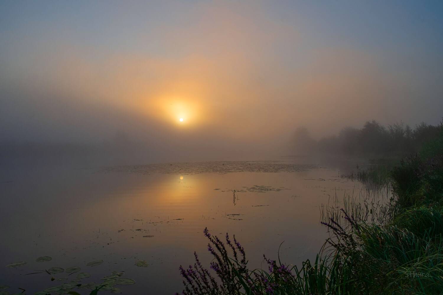 лето озеро рассвет туман природа пейзаж, Александр Строков