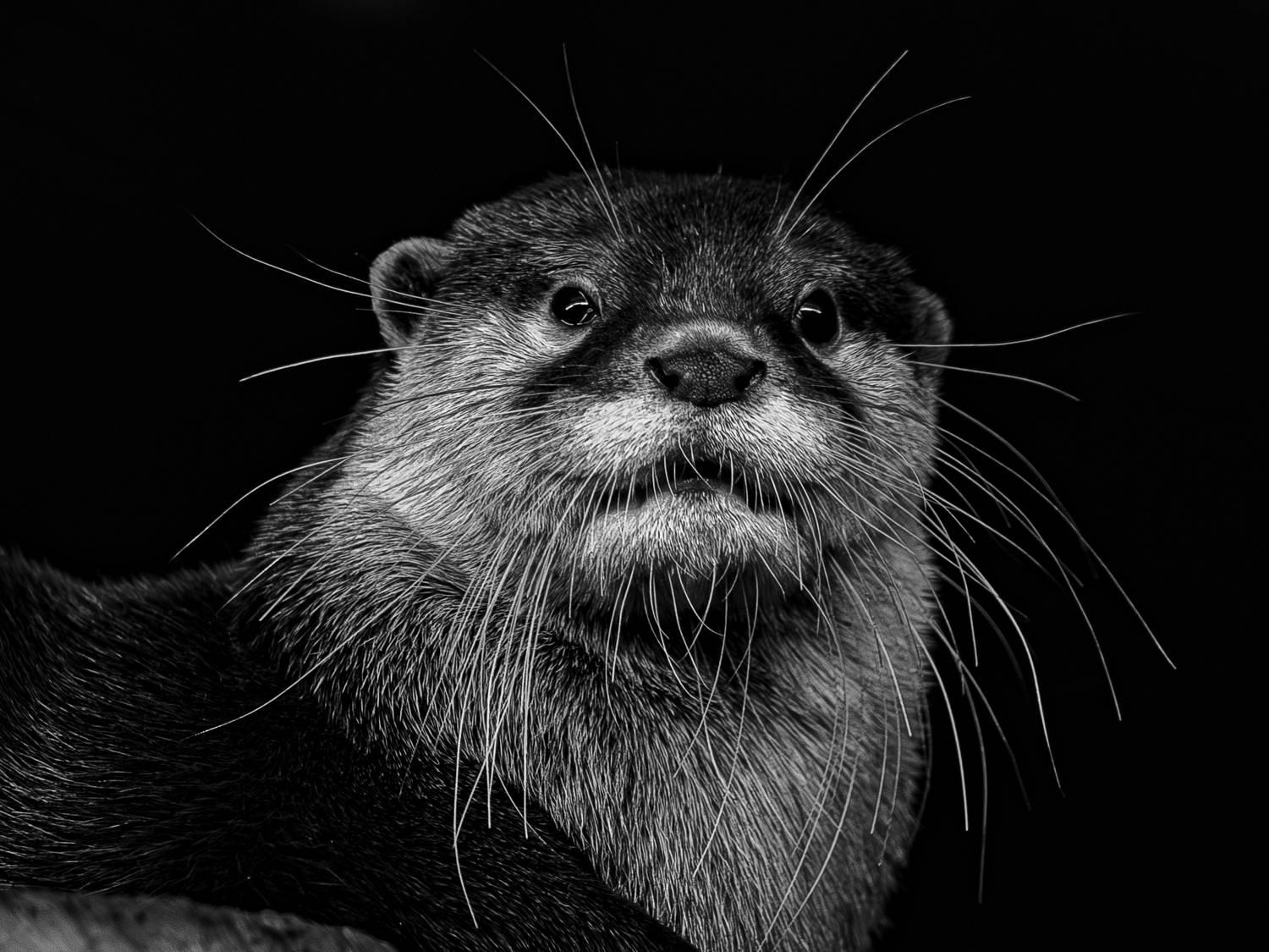 , Михаил Измайлов